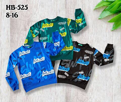 Bluza chłopięca HB-525 Mix kolor 8-16 1