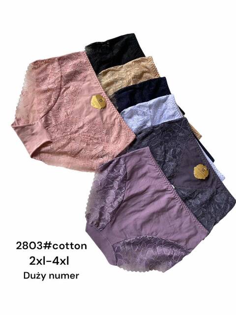 Majtki damskie 2803 Mix kolor 2XL-4XL