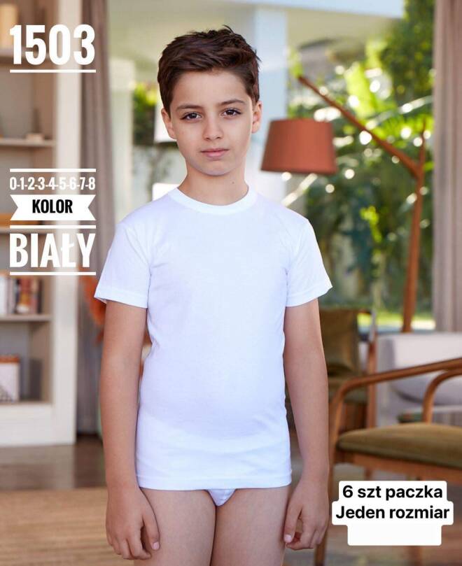 Bluzka chłopięca 1503 1 kolor  0-8(TOWAR Tureckie) 1