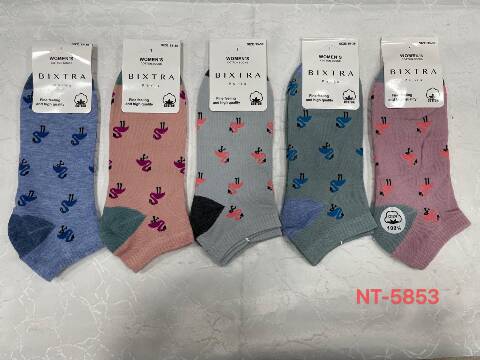 Stopki Damskie NT-5853 Mix kolor 35-42