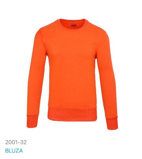 Bluza męskie 2001-32 1 kolor M/L-2XL 1