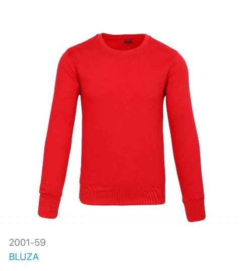 Bluza męskie 2001-59 1 kolor M/L-2XL