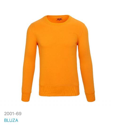 Bluza męskie 2001-69 1 kolor M/L-2XL