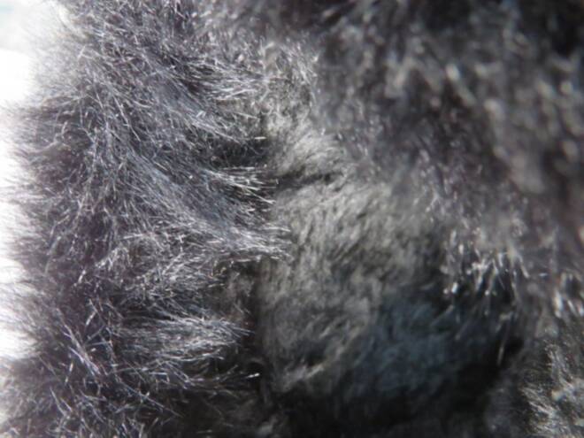 Botki Damskie W060 BLACK 36-41 3