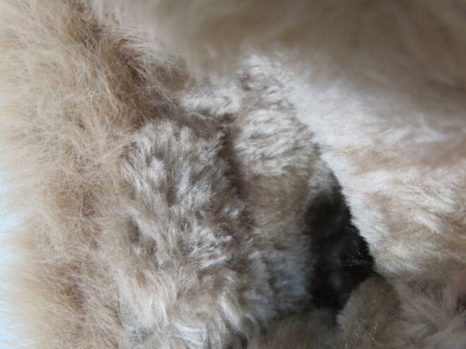 Botki Damskie W060 KHAKI 36-41 3