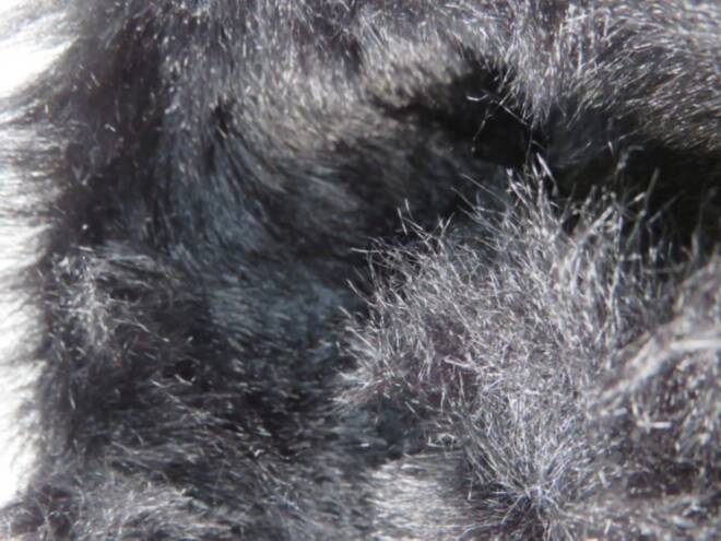 Botki Damskie W078 BLACK 36-41 3