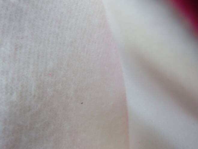 Kalosze Dziecięce Y052-2 MIX2 29-35 3