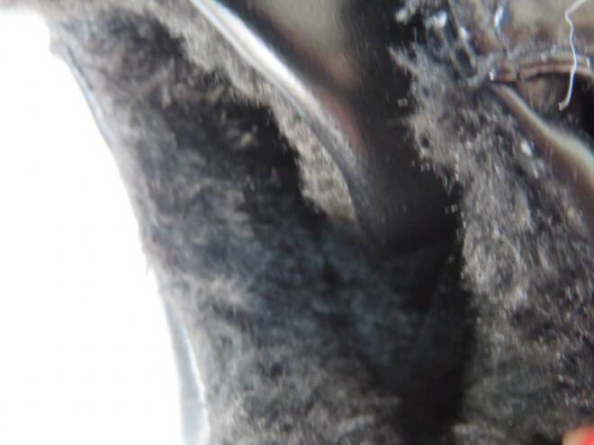 Botki Damskie F202A JEDEN 37-42 3