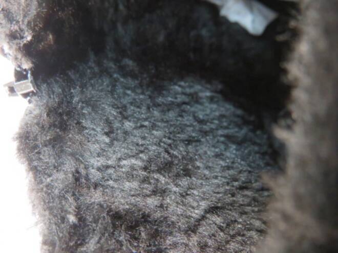 Botki Damskie F206A JEDEN 37-42 3