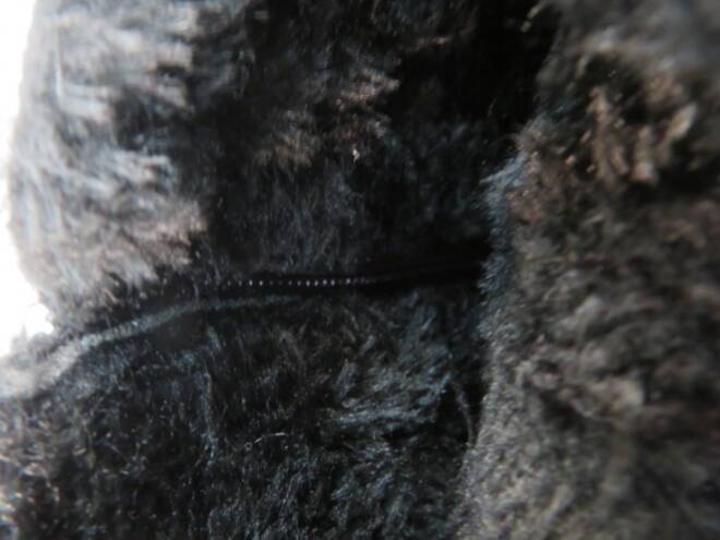 Botki Damskie F215A JEDEN 37-42 3