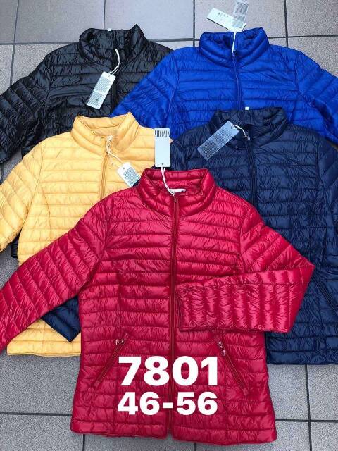 Cienka Kurtka damskie 7801 1 kolor 46-56