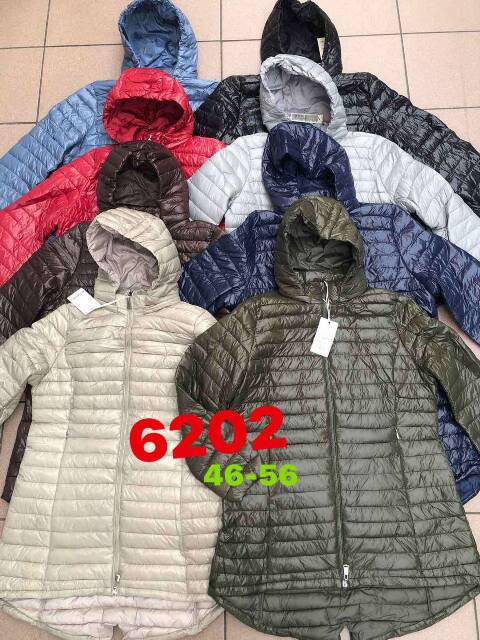 Cienka Kurtka damskie 6202 1 kolor 46-56