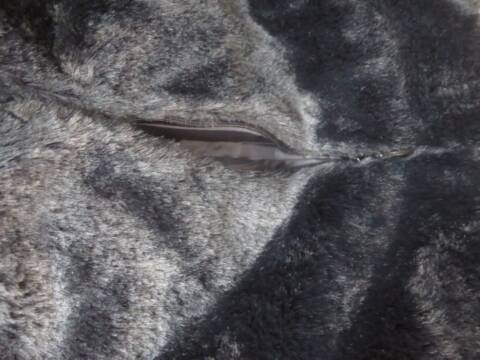  Zimowa Kurtka dwustronna damskie WA-5012 1 kolor 44-54 2