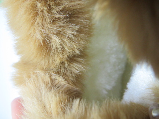 Botki Damskie 9131-5 CAMEL 36-41 3