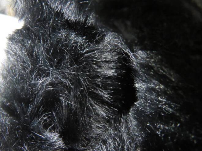 Botki Damskie 9303-1 BLACK 36-42 3