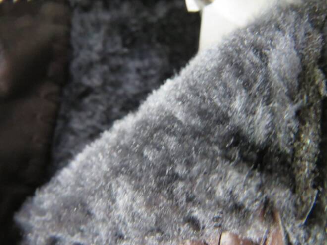 Botki Damskie F-3 BLACK 37-42 3