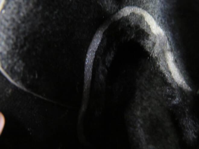 Botki Damskie 1832 BLACK 36-41 3