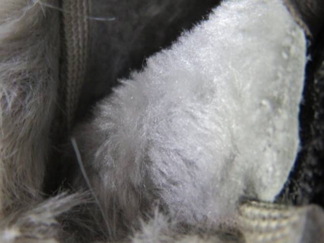 Botki Damskie 9130-2 GREY 36-41 3