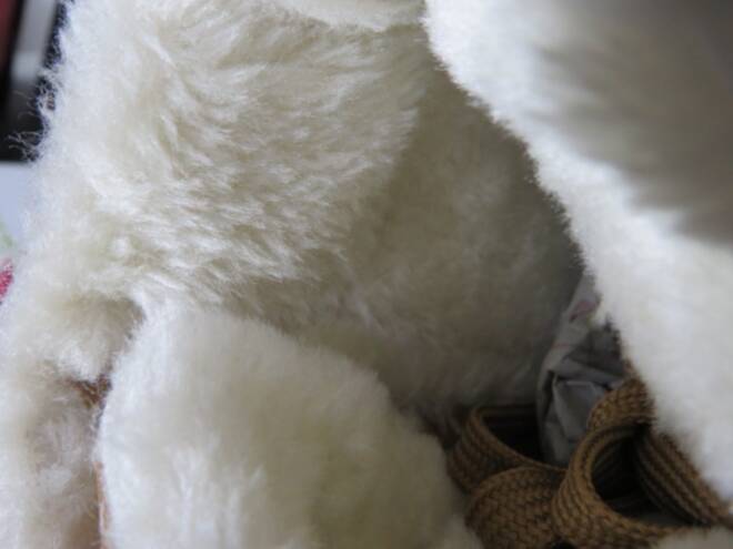 Botki Damskie 3008-5 CAMEL 36-42 3