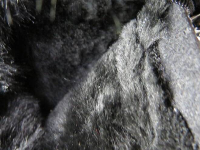 Botki Damskie 7601-1 BLACK 36-41 3