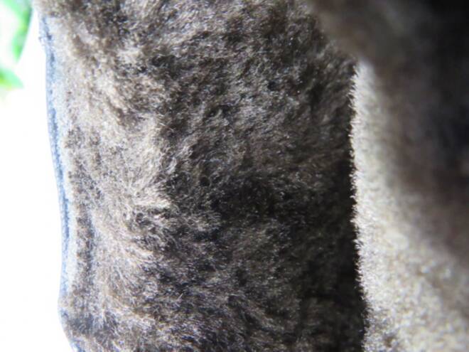 Botki Damskie 6135 BLACK 37-42 3