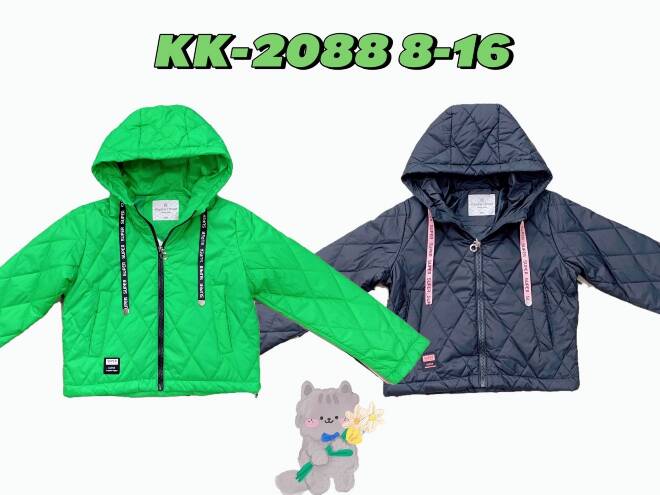 Kurtki dziewczęce KK2088 Mix KOLOR  8-16 1