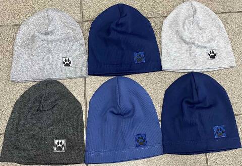 Czapki  męska 2859 Mix kolor Standard