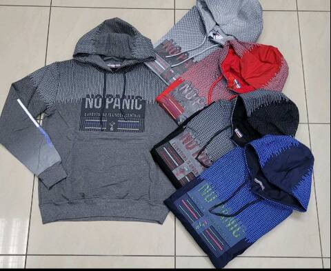 Bluza męskie 2958 1 kolor M-2XL (Towar Tureckie) 1