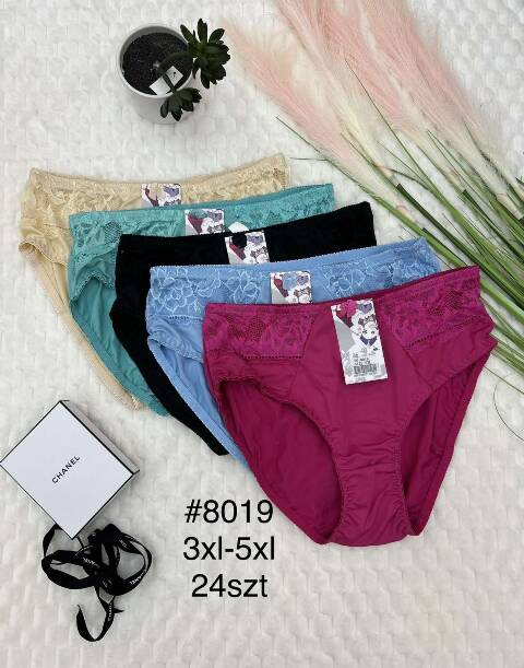 Majtki damskie 8019 Mix kolor 3XL-5XL