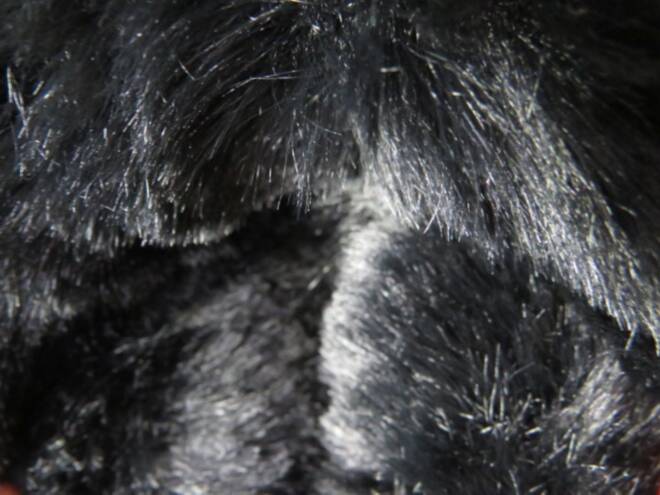 Botki Damskie 1052 BLACK 36-41 3