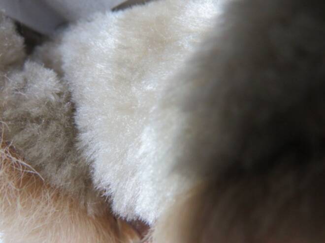 Botki Damskie F6325 KHAKI 36-41 3