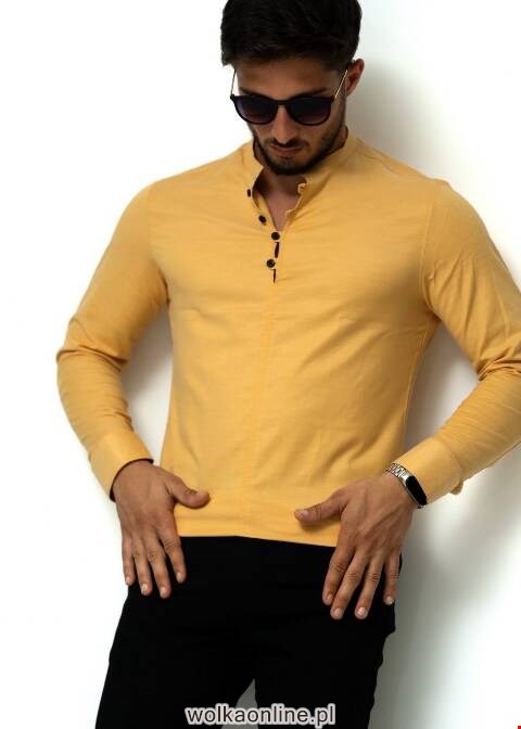Koszule męskie na długi rękaw 3913 1 kolor M-3XL (Towar Tureckie)