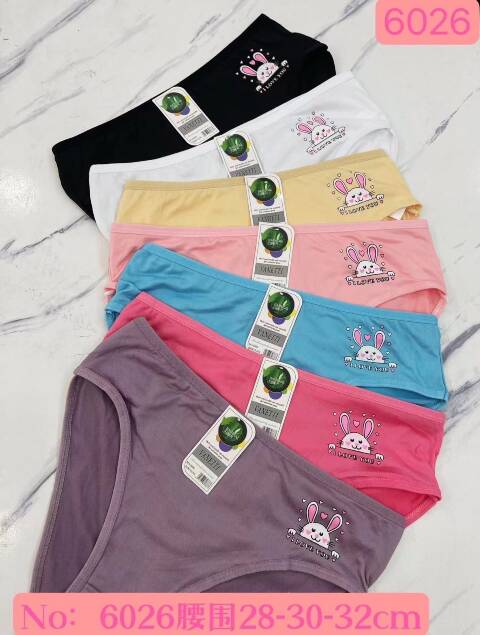 Majtki damskie 6026 Mix kolor 28-32 1