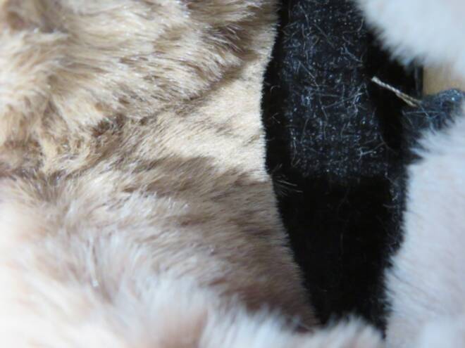 Botki Damskie 9523 CAMEL 36-41 3