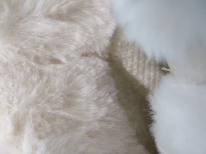 Botki Damskie 9523 BEIGE 36-41 3