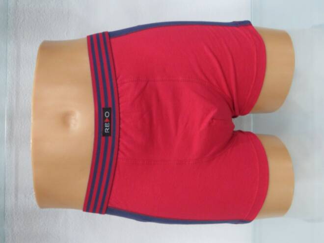 Bokserki męskie 8774 Mix KOLOR  M-3XL