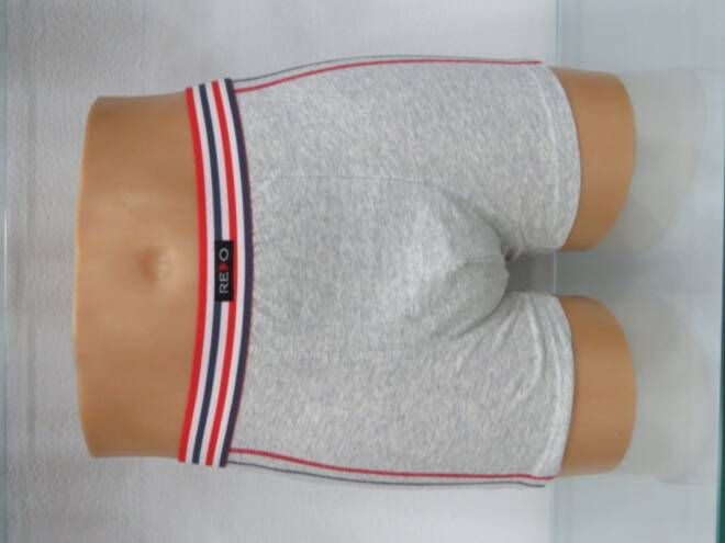 Bokserki męskie 8788 Mix KOLOR  M-3XL