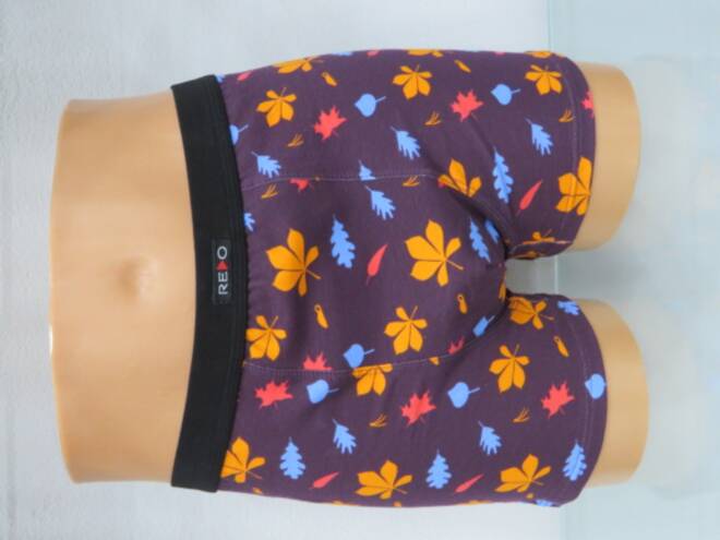 Bokserki męskie 8789 Mix KOLOR  M-3XL