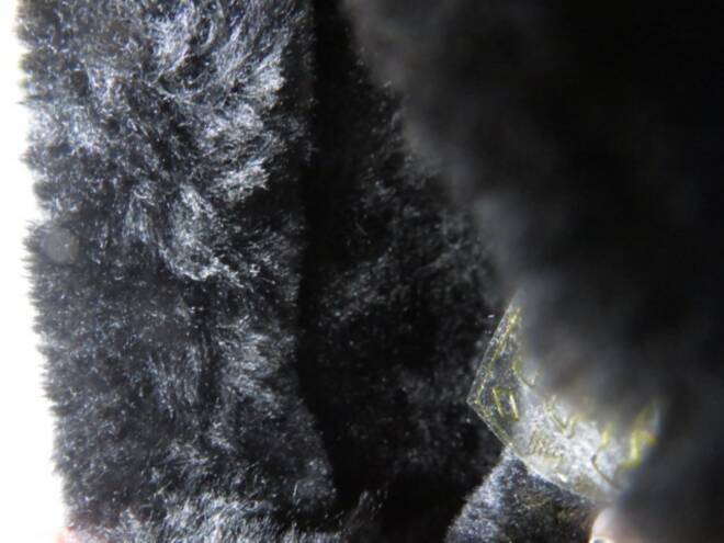 Botki Damskie 302 BLACK 36-41 3