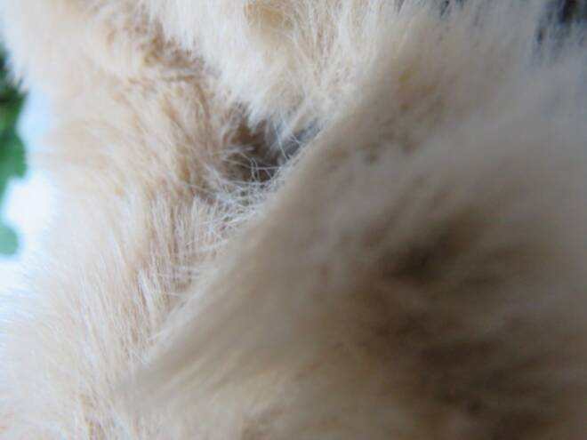 Botki Damskie Q99 BEGER 36-41 3