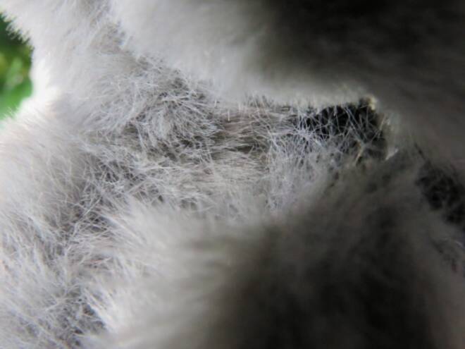 Botki Damskie Q99 GREY 36-41 3