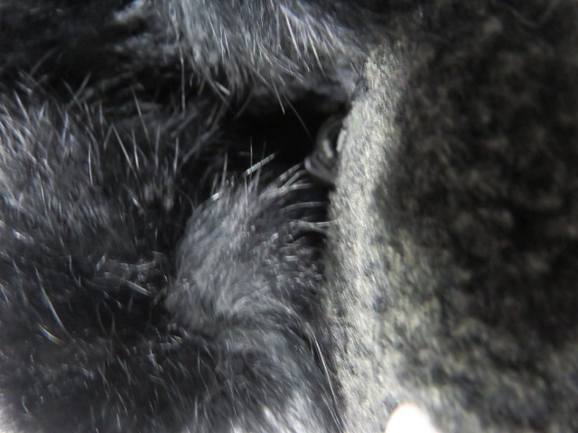 Botki Dziecięce 1872-1 JEDEN 25-30 3