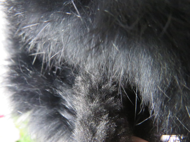 Botki Dziecięce 1874-1 JEDEN 25-30 3