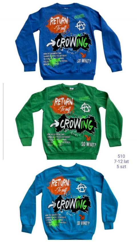 Bluza chłopięca 510 1 kolor 7-12 (Towar Tureckie) 1