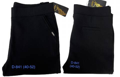 Spodnie damskie D841 1 kolor 40-52 1