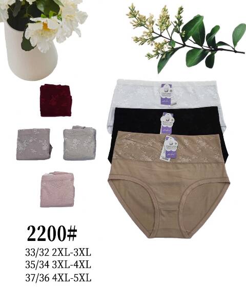Majtki damskie 2200 Mix kolor 2XL-5XL 1