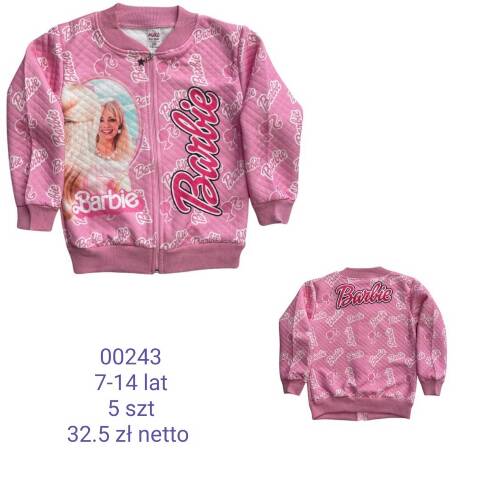 Bluza dziewczęca 00243 1 kolor 7-14 (Towar Tureckie) 1