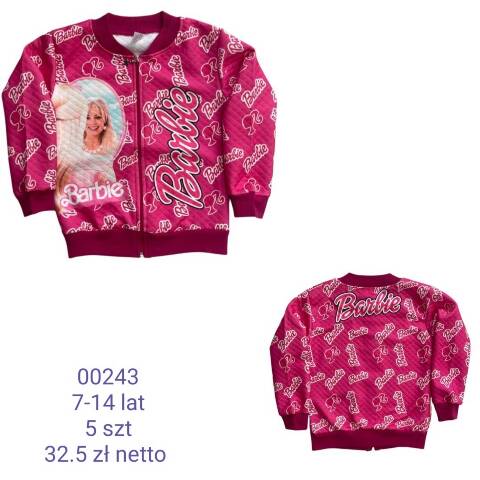 Bluza dziewczęca 00243 1 kolor 7-14 (Towar Tureckie) 1