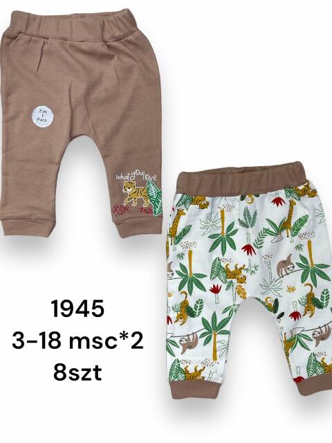 Spodnie dziewczęce 1945 1 kolor 3-18 (Towar Tureckie)