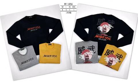 Bluza męskie FF-1656 1 kolor S-2XL (Towar Tureckie)